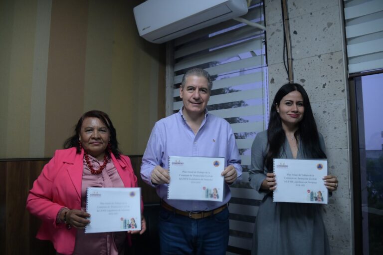 Formaliza Comisión de Protección Civil sus objetivos de trabajo para 2025.